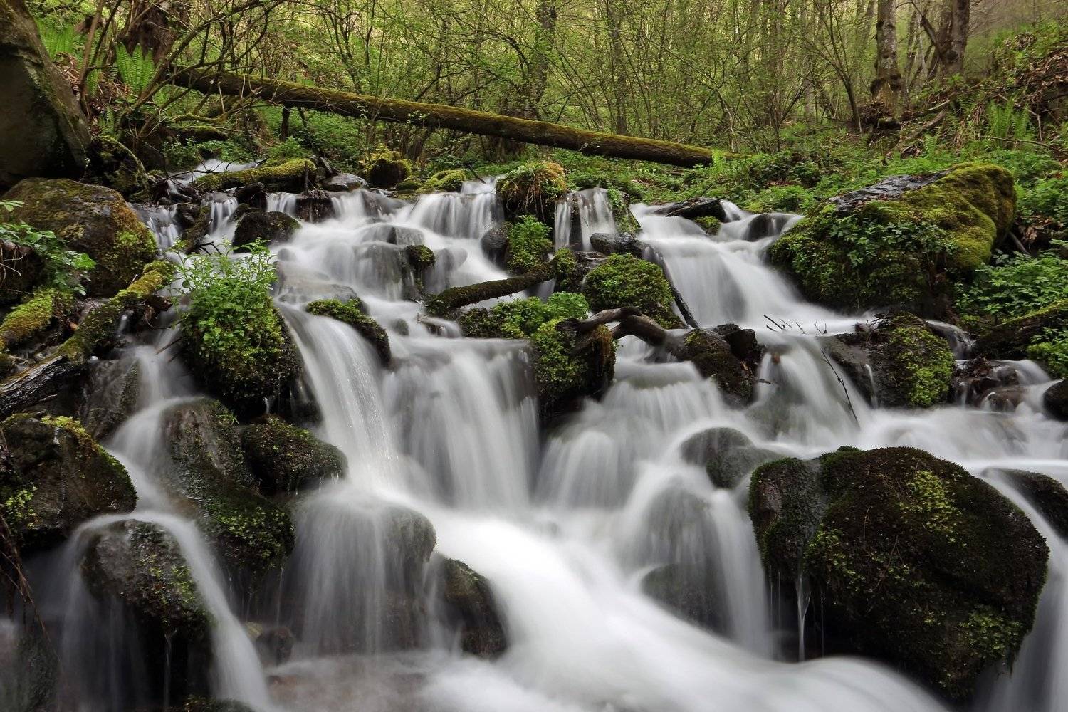 апрель ручей, Евгений Никишин