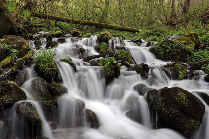 апрель ручей Вешние воды фото превью