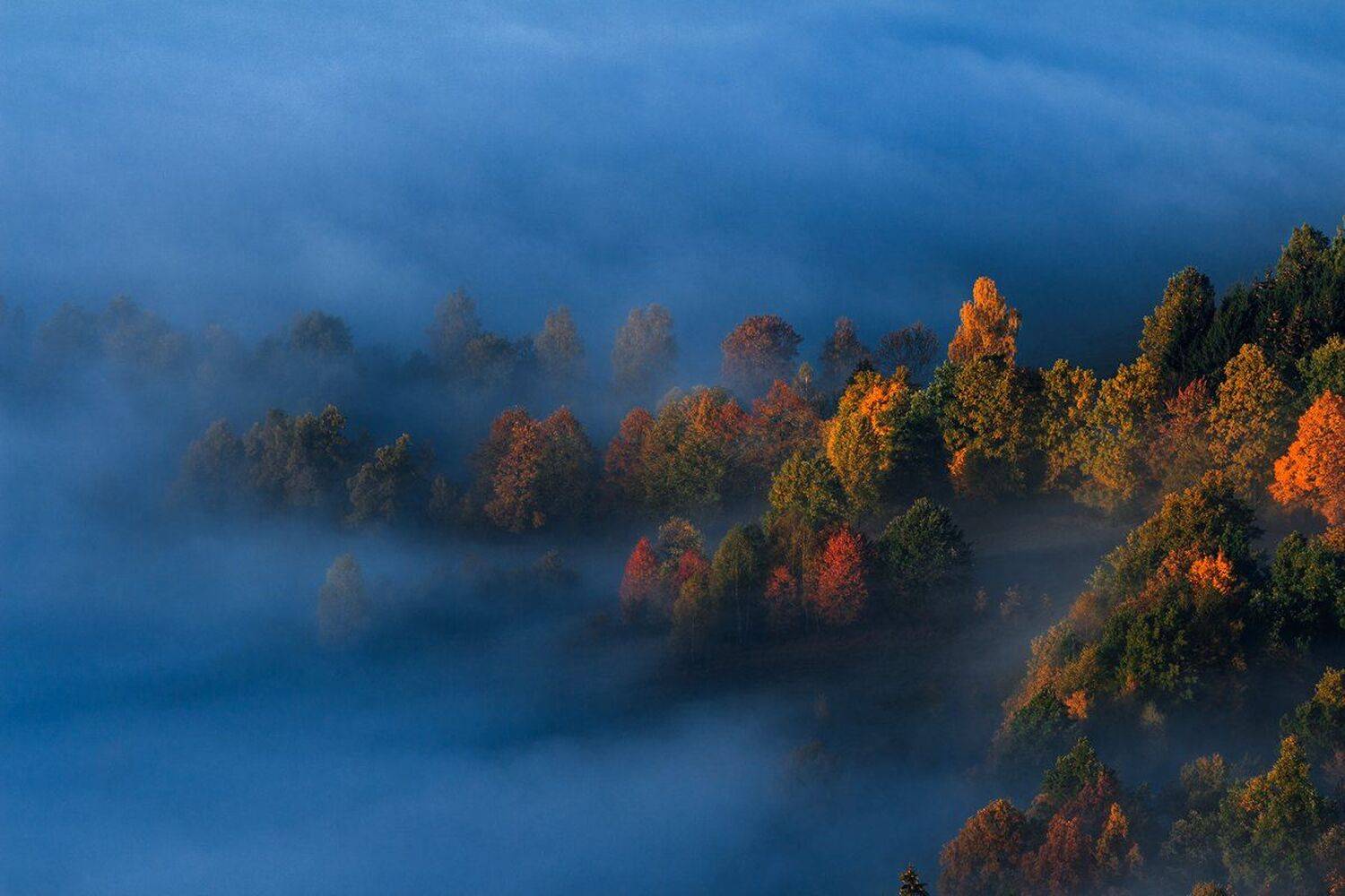 landscape,canon,mist,light,autumn, Iza i Darek Mitręga