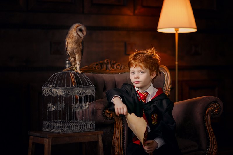 По мотивам Гарри Поттера фото превью