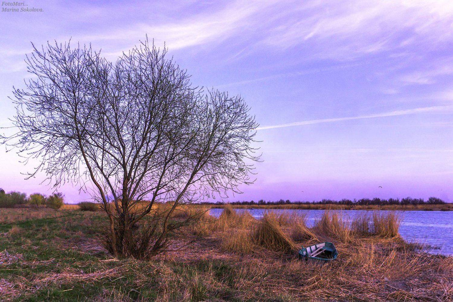 , Марина Соколова