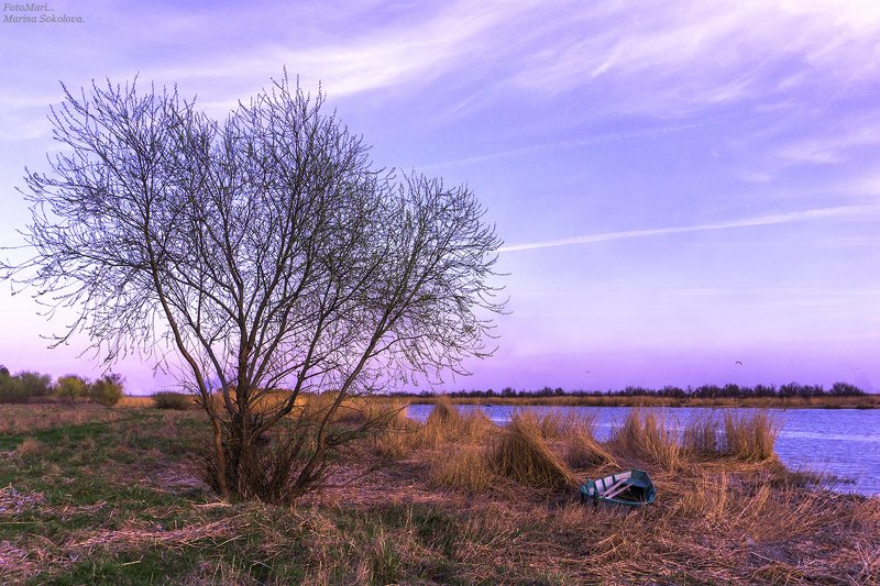 Cумерки... фото превью