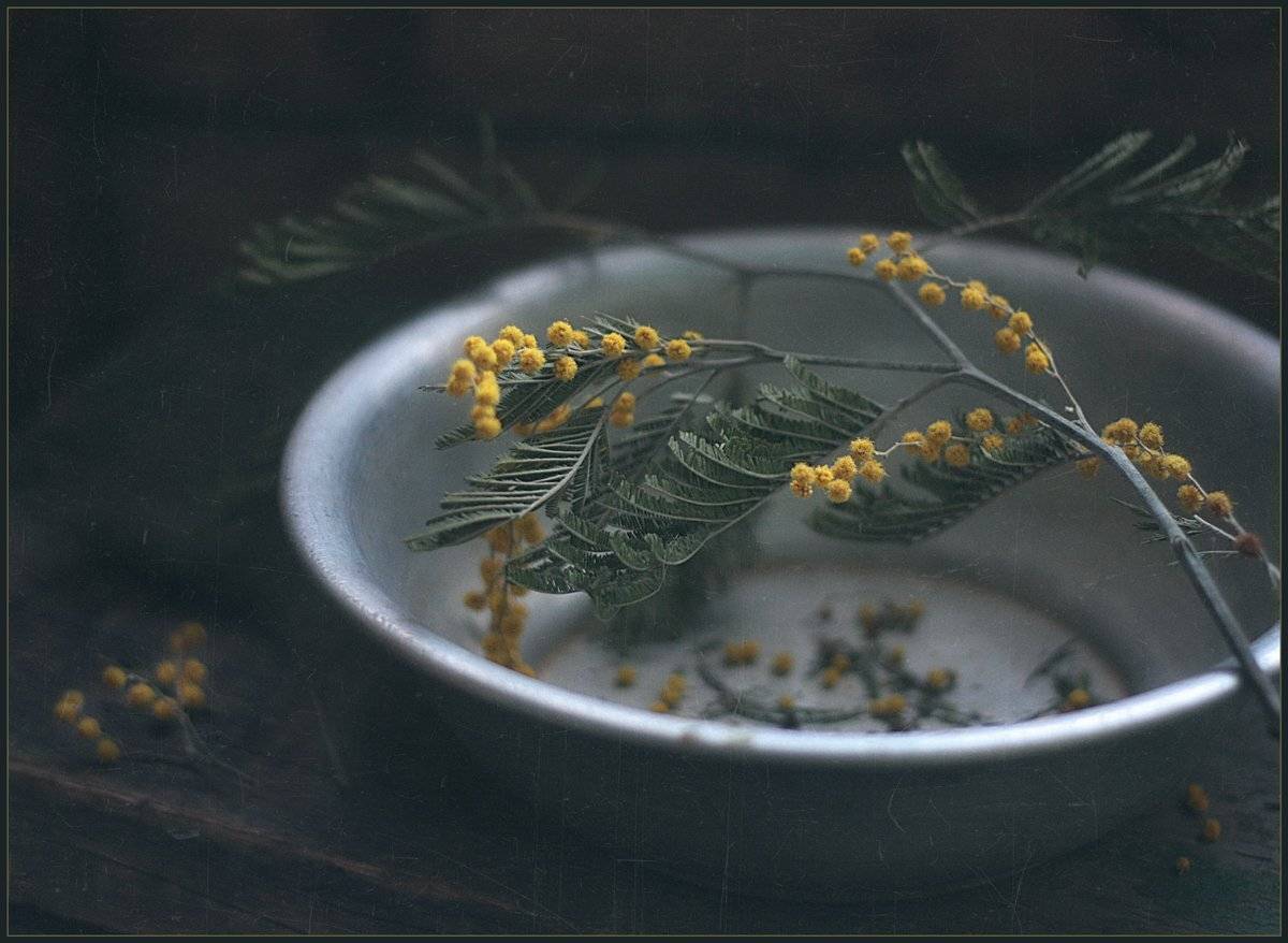 , Александр Хромеев