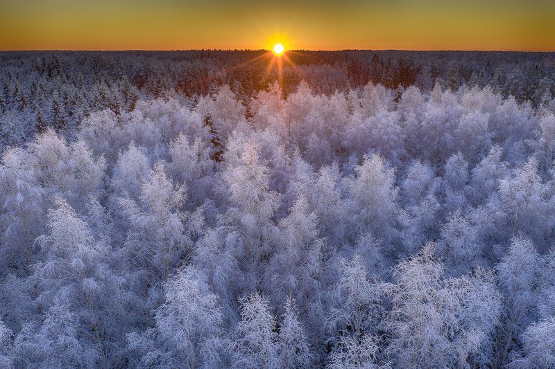 Frozen фото превью