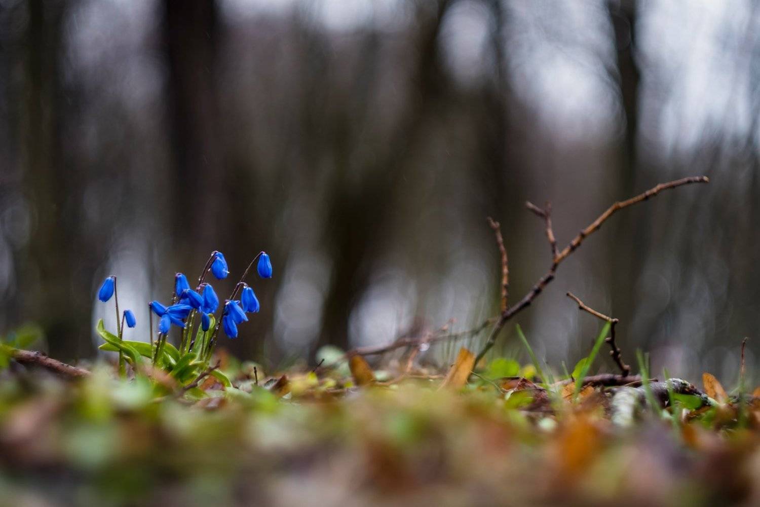 , Александр Абросимов