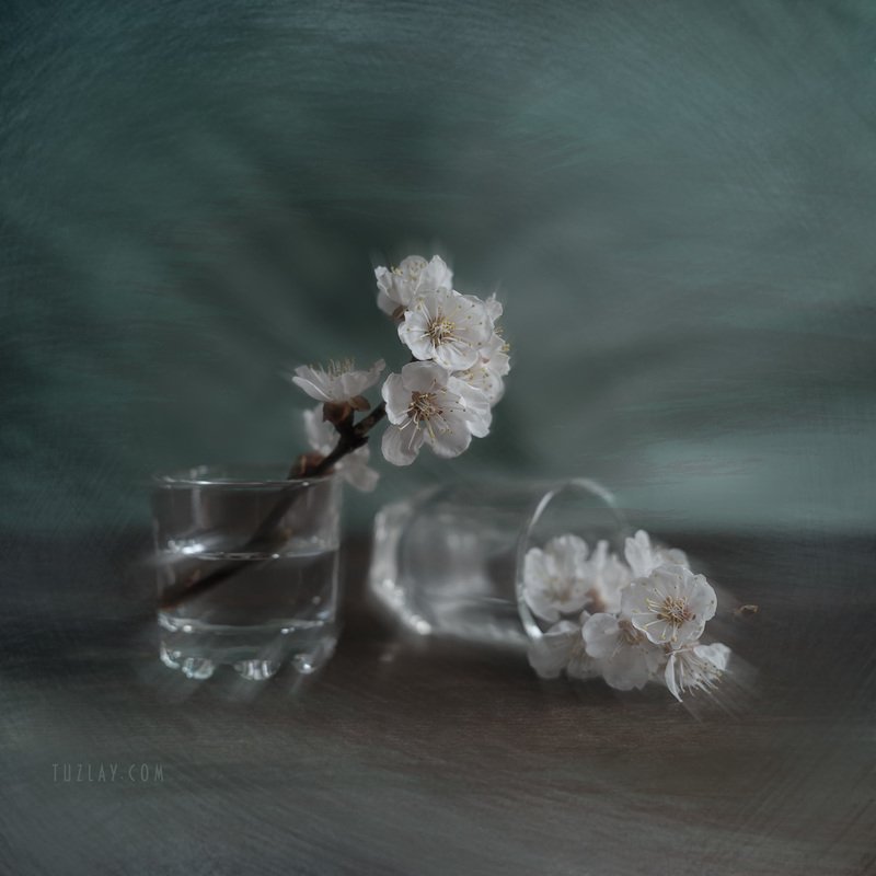 Возвращаясь к квадратикам фото превью