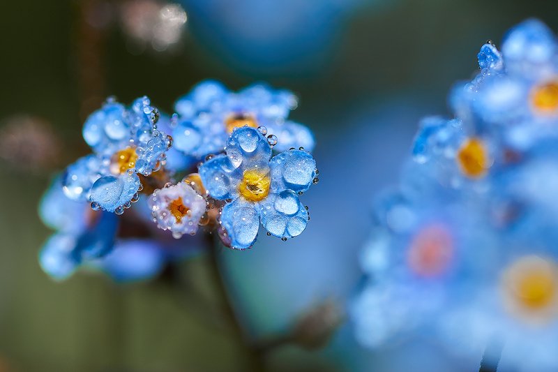 южный, урал, долгие горы, орск, новотроицк башкирия талкас Незабываемая красота. фото превью