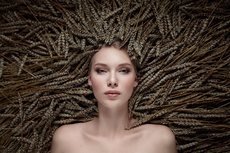 Колосья фото превью