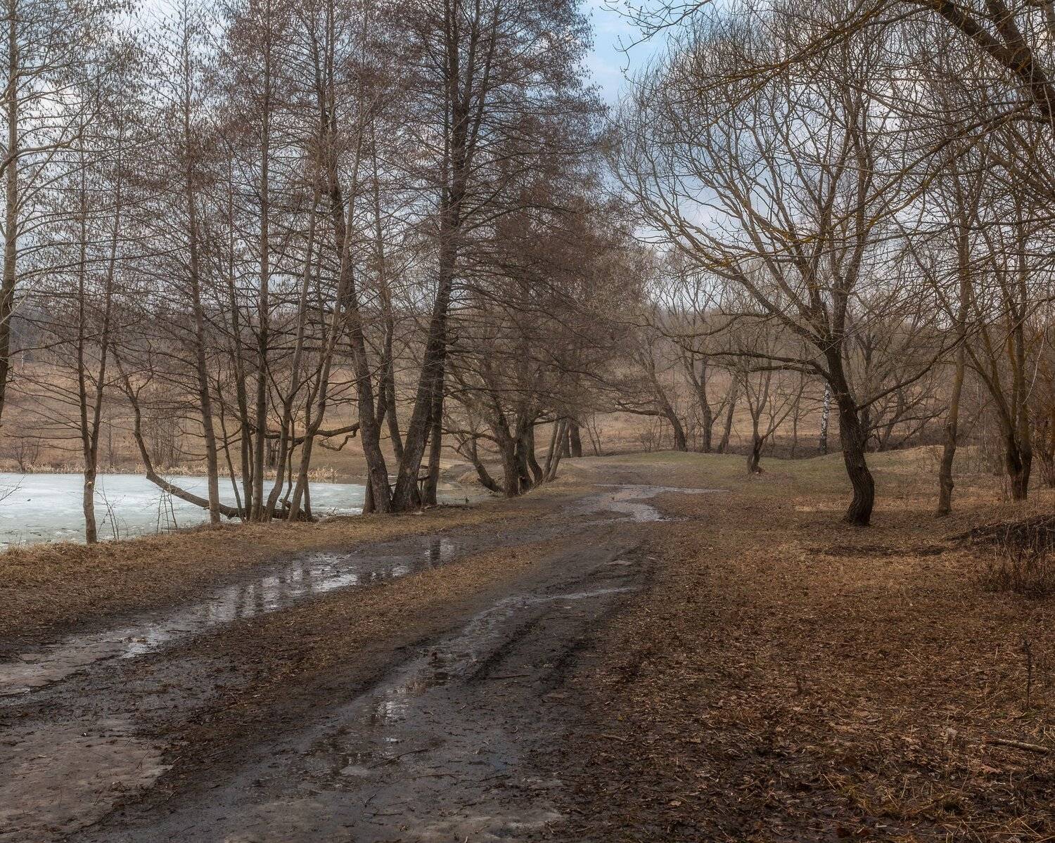 природа, пейзаж, весна, Мартыненко Дмитрий