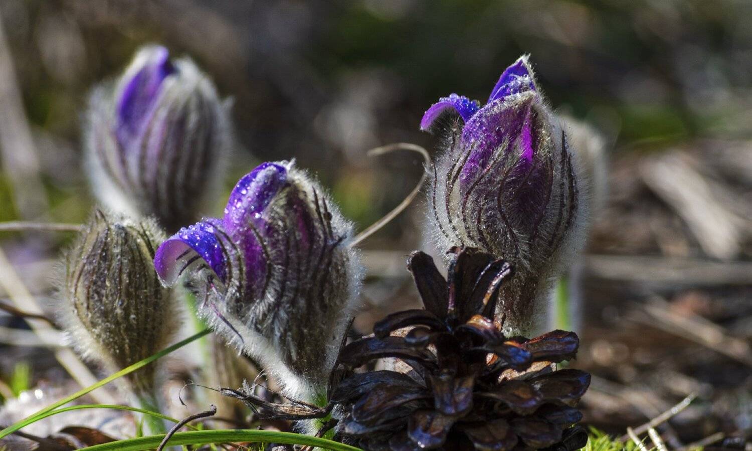 nevant60, пейзаж, красота, природа, Александр Березуцкий