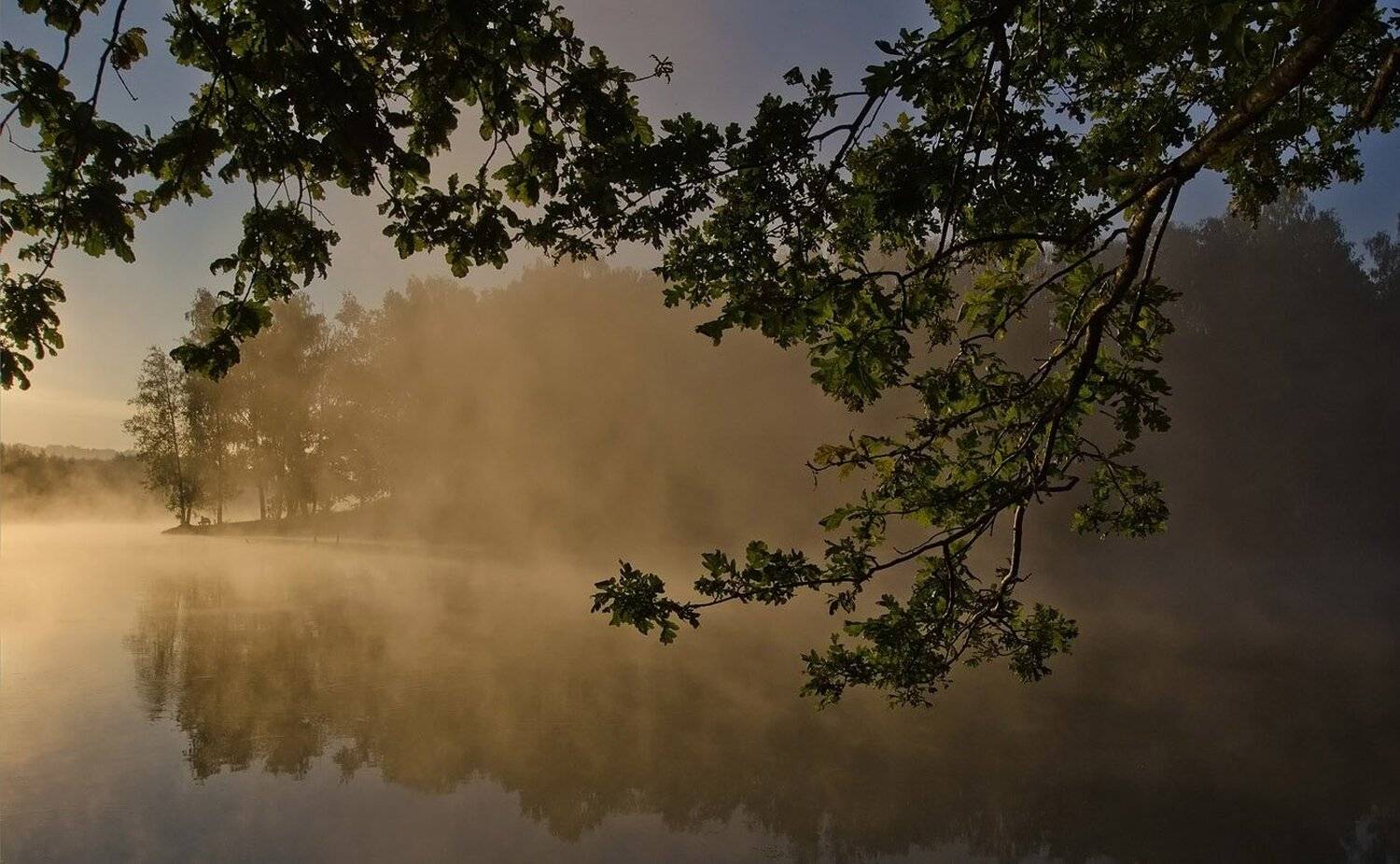 утро, лето, туман, природа, пейзаж, озеро новое, Михаил Агеев