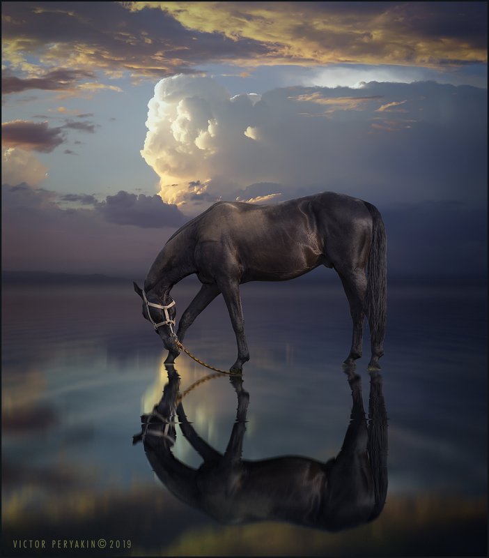 Грация вечера.... фото превью