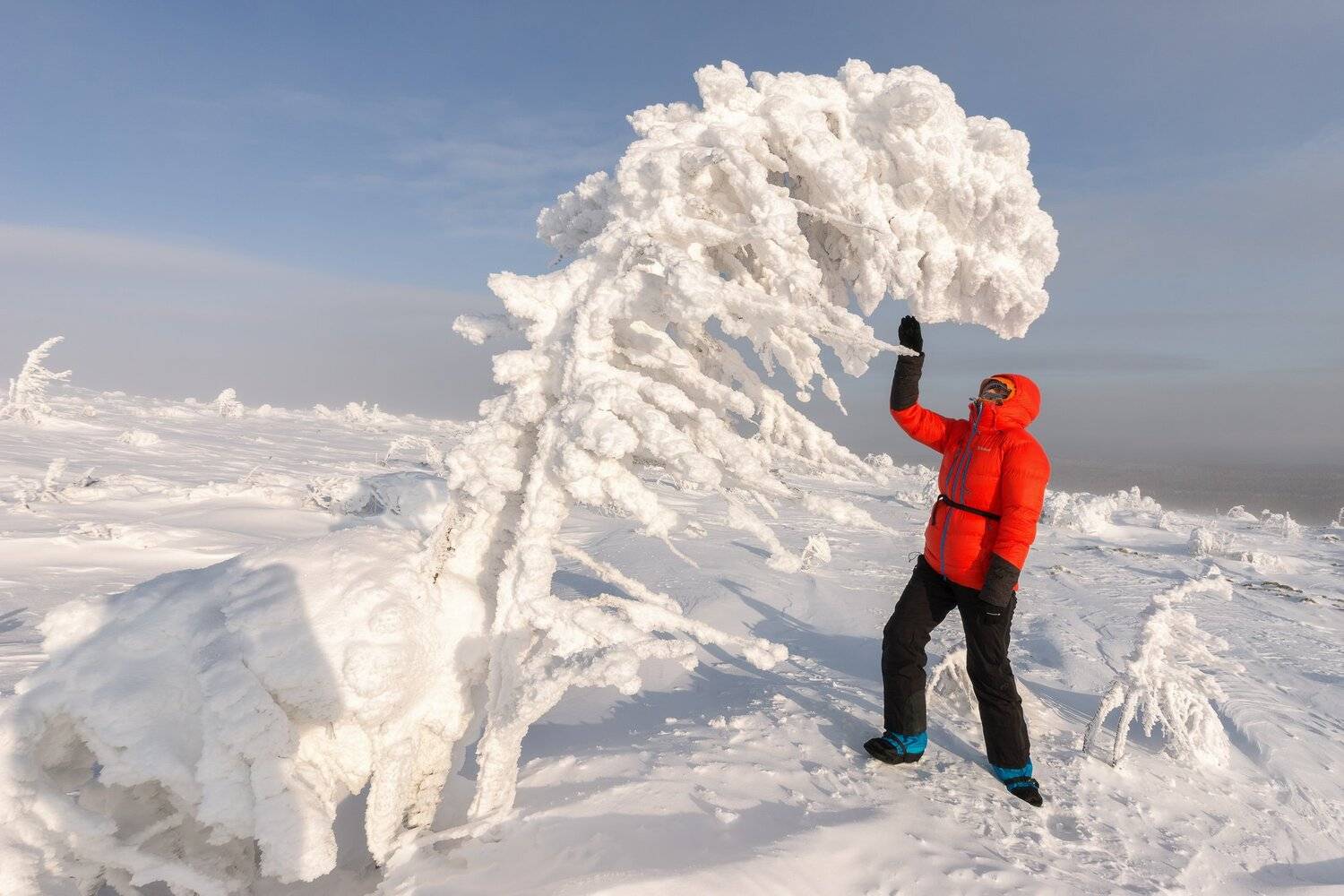 , Михаил Туркеев