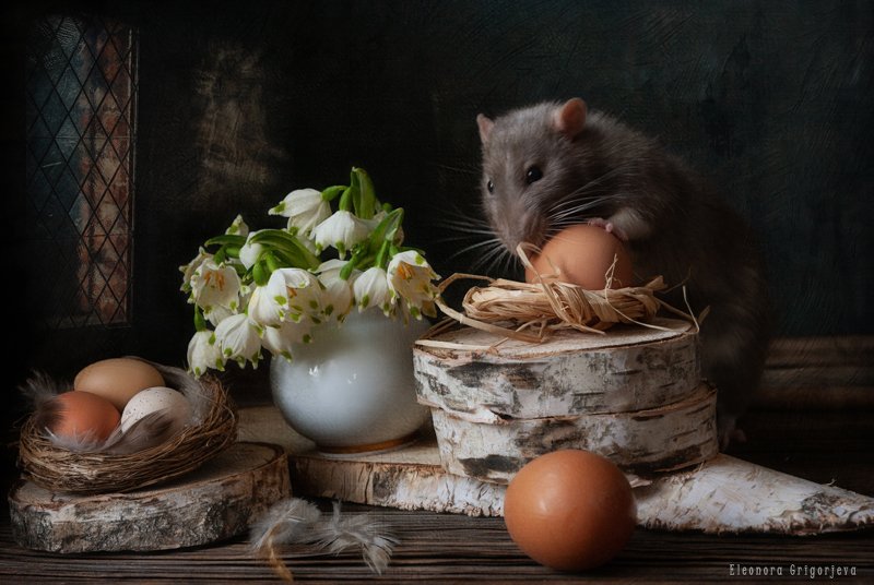 Как будто весна фото превью