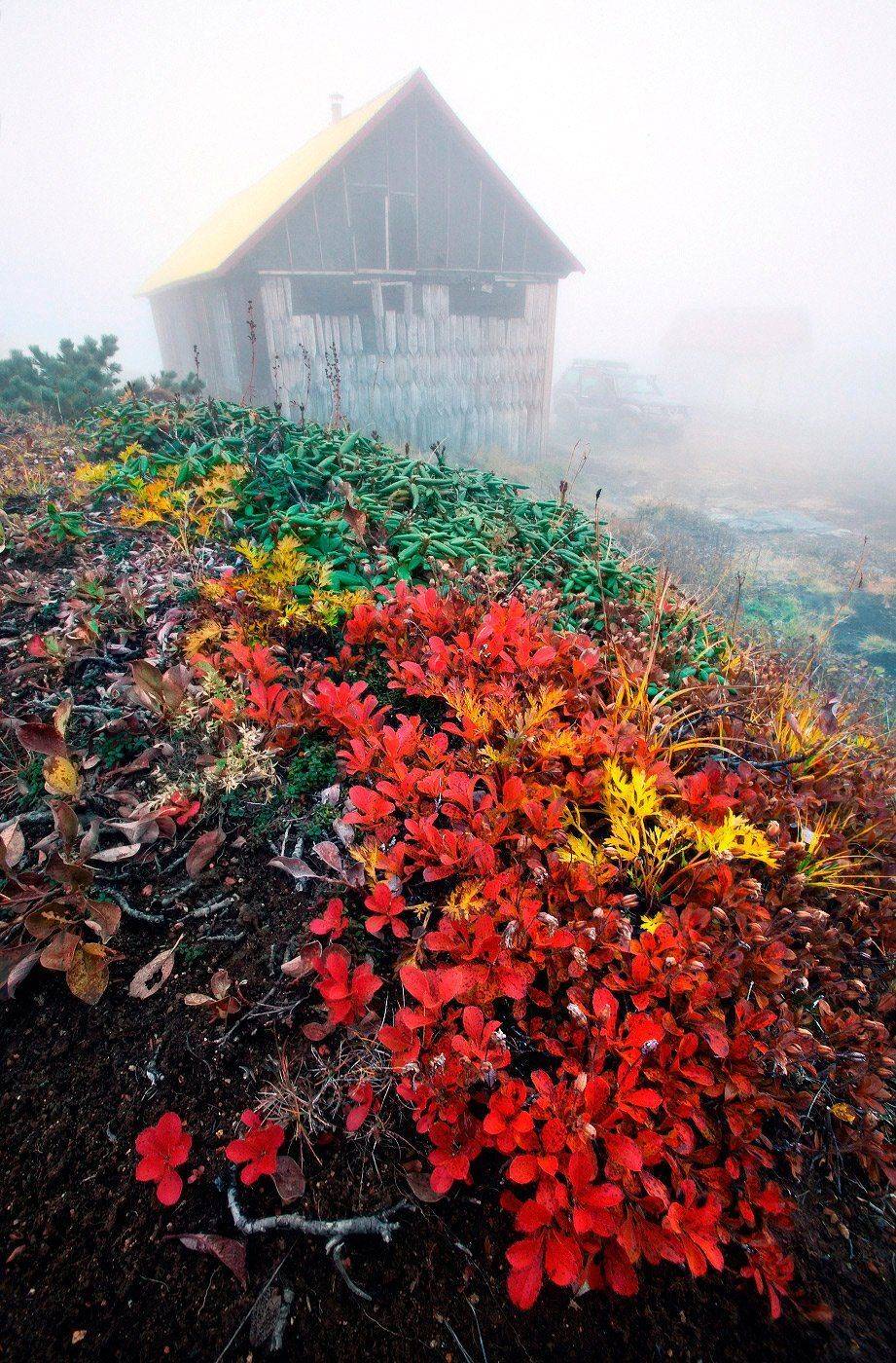 , Сергей Макурин