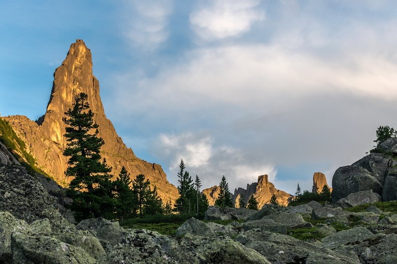 горы, сибирь, саяны, западный саян, ергаки, ник васильев, пик звёздный, вершина, парус, дерево, кедр, стремление Устремлённые вверх фото превью