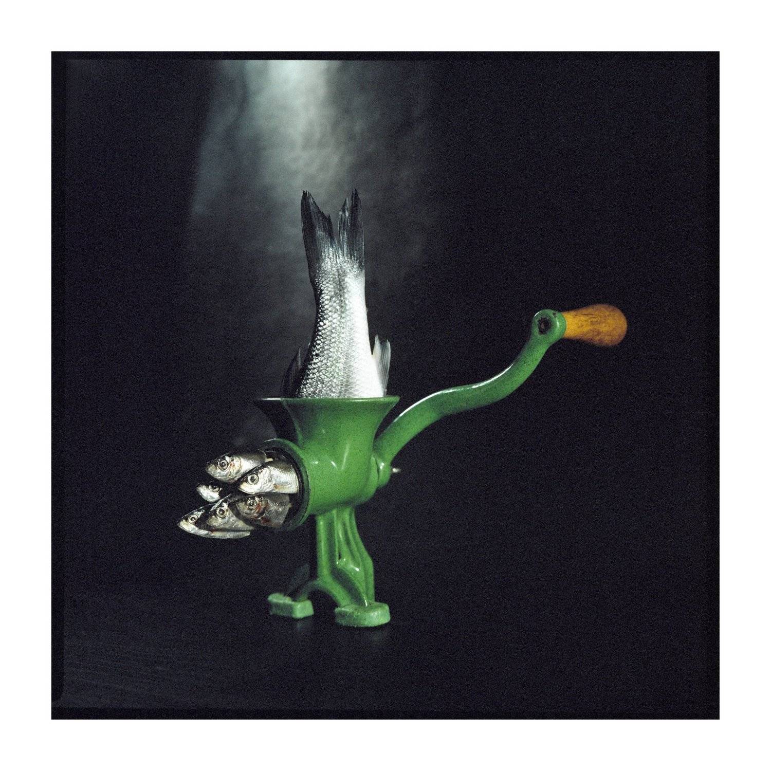 Film, analogue, art, fish, miracles, ironic, series, surrealism, Tomas