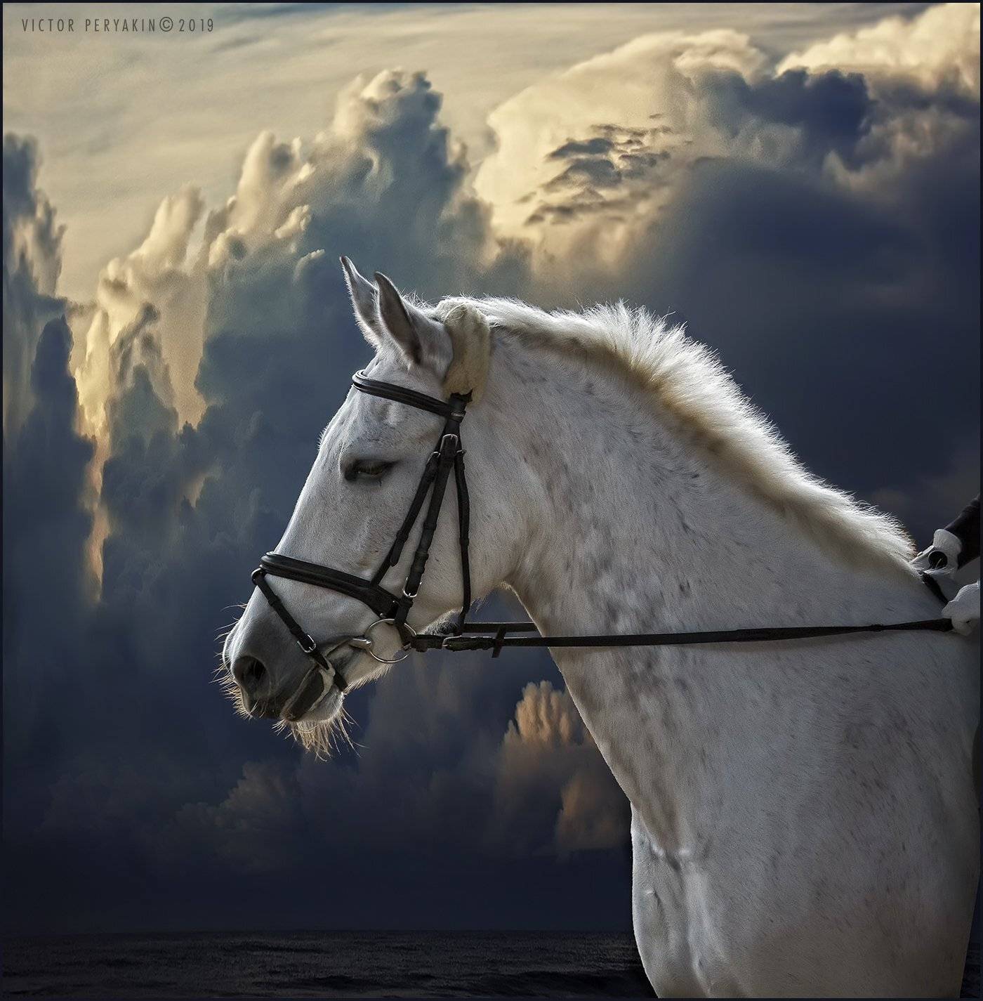 , Виктор Перякин