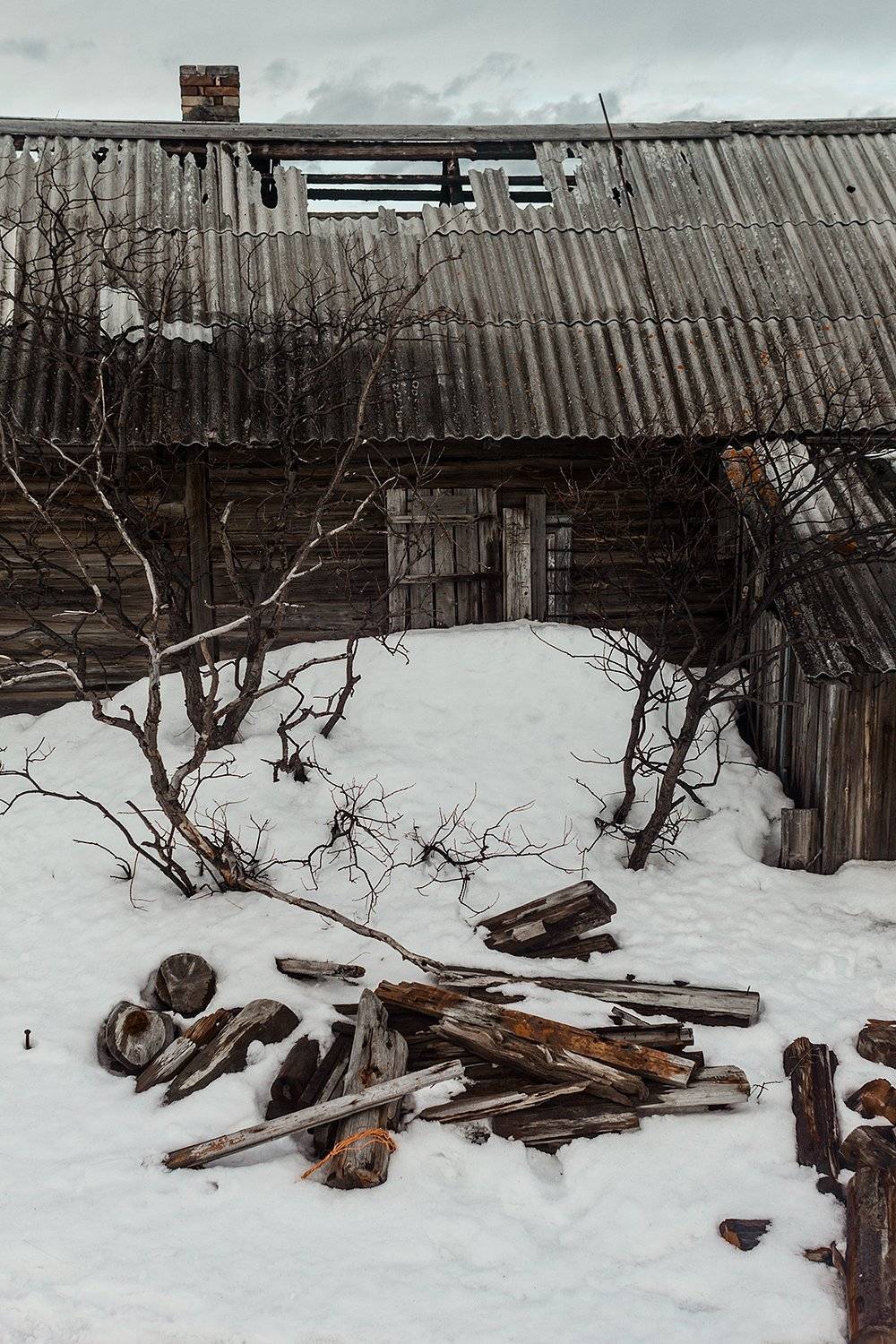 , Ольга Йонш