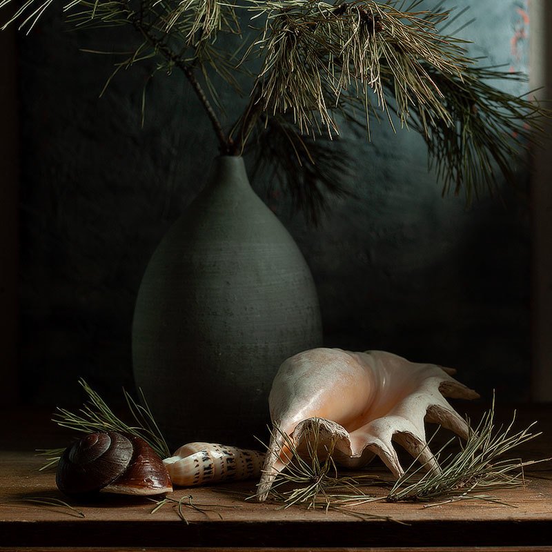 *** фото превью