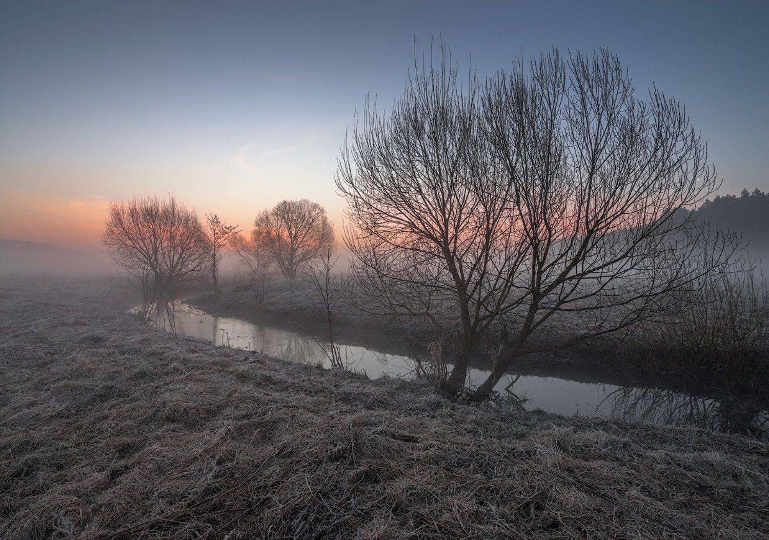 , Сергей Добровольский