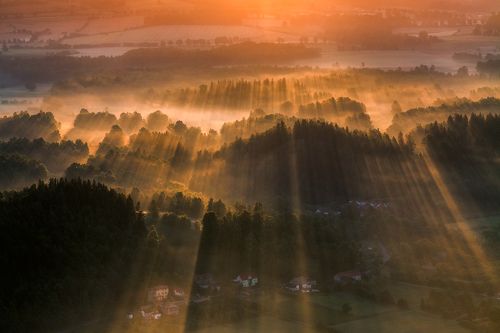 In the Morning Light.