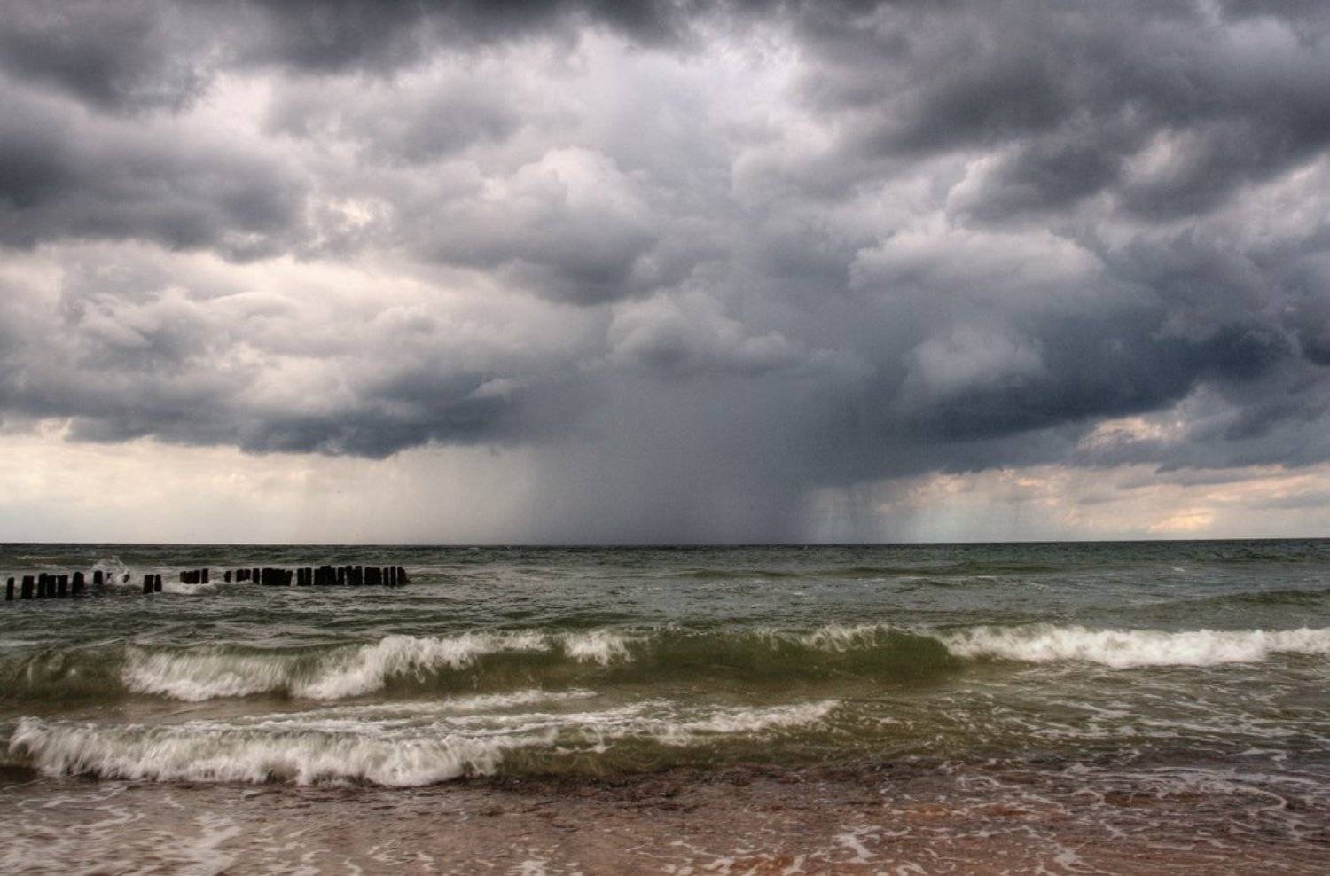 , Павел Дунюшкин