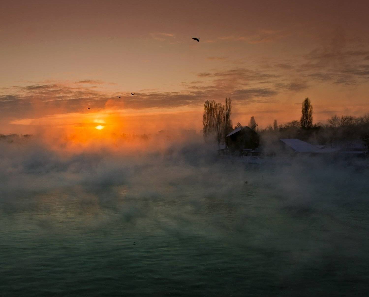 город, парк, зима река кубань, ФЁДОР