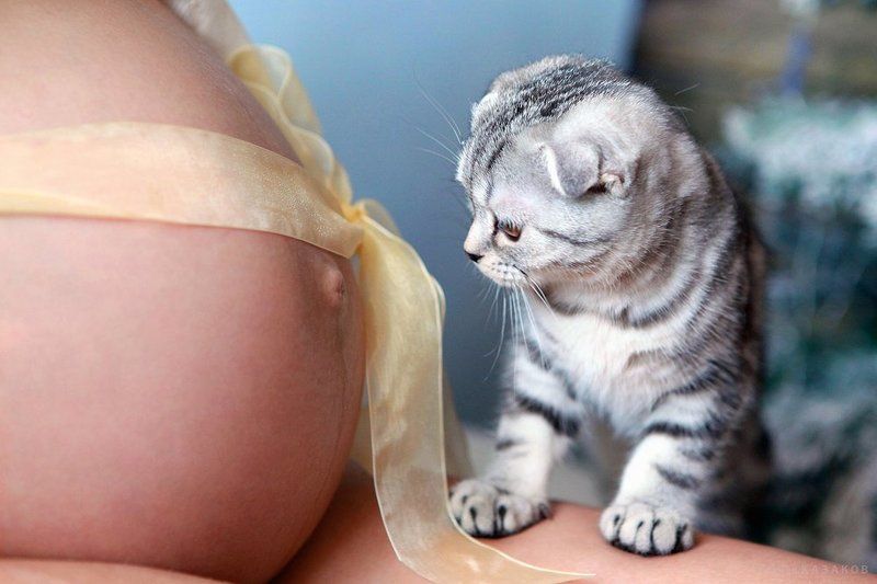 про малышей фото превью