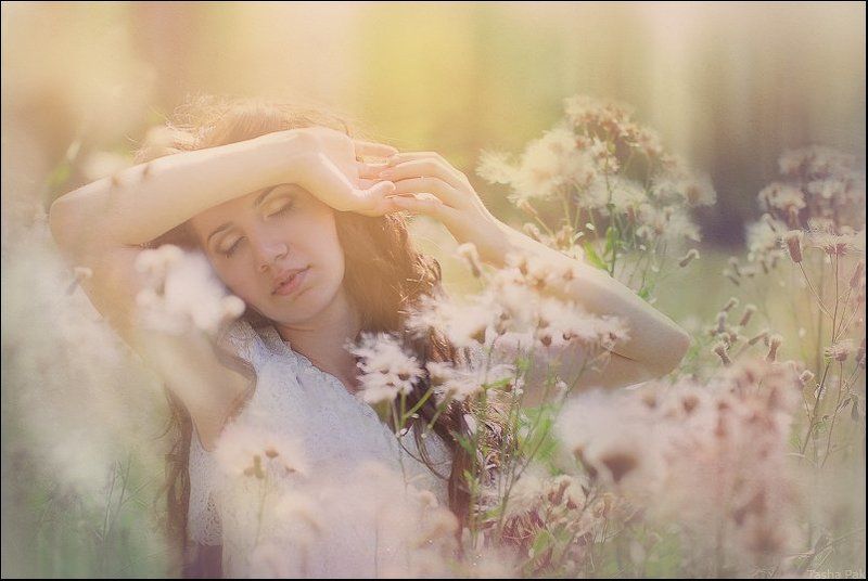 свет фото превью