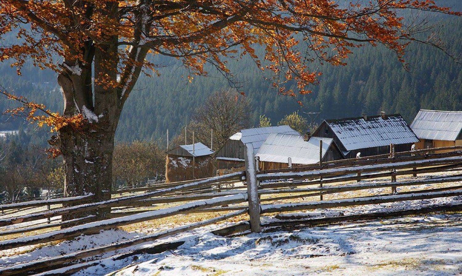 карпаты,, Тарас
