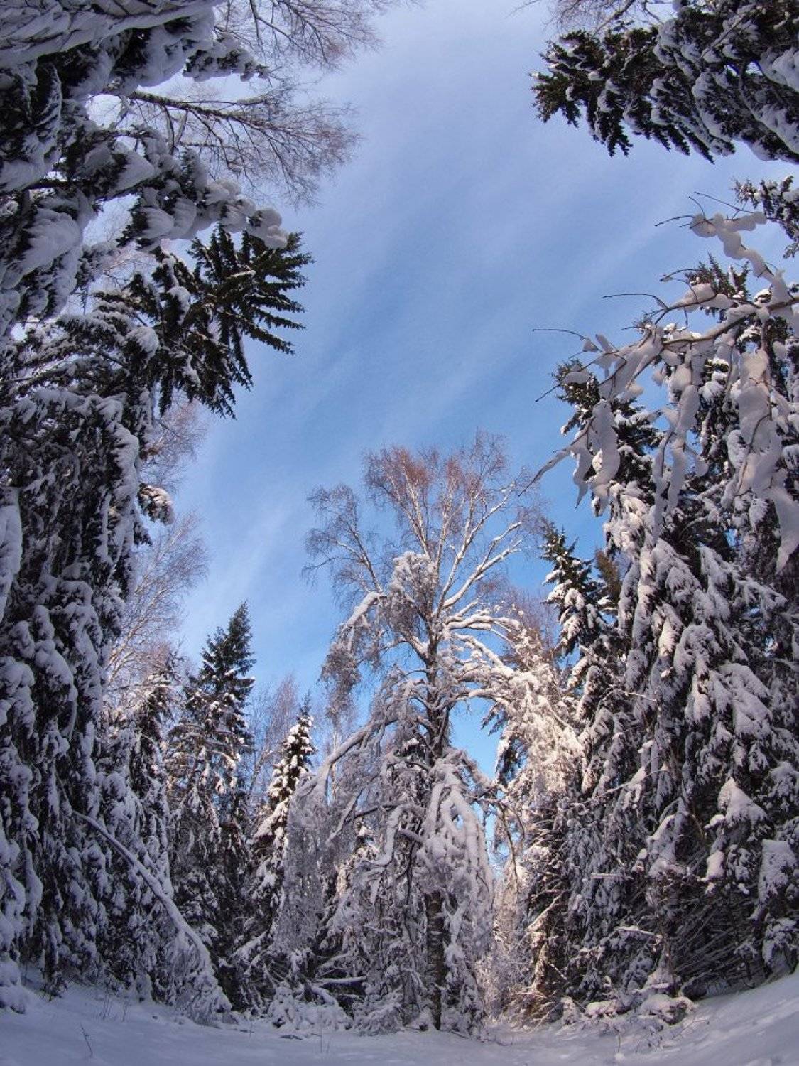 , Максим Евдокимов