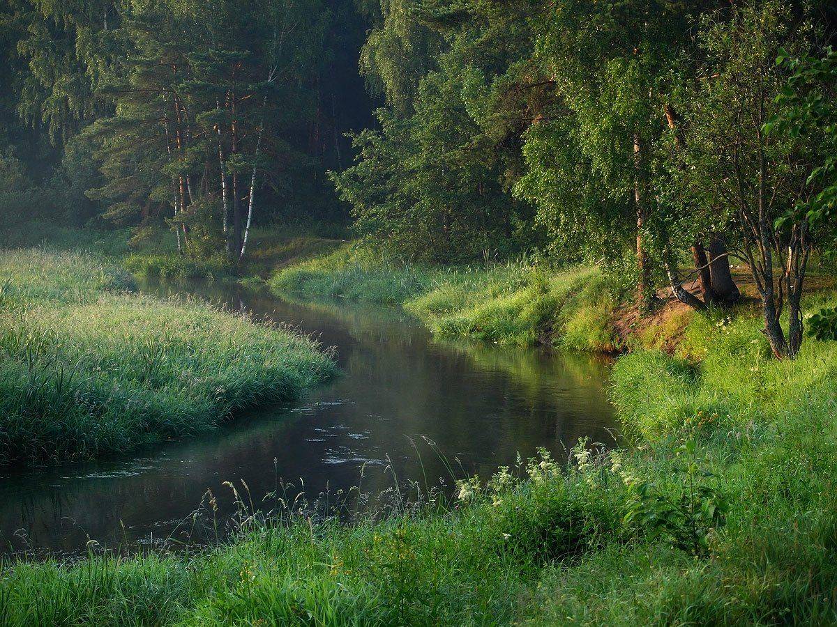 , Владимир Перепечаев