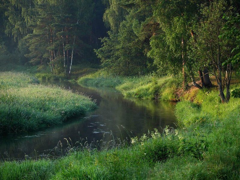 Утро на излучине. фото превью