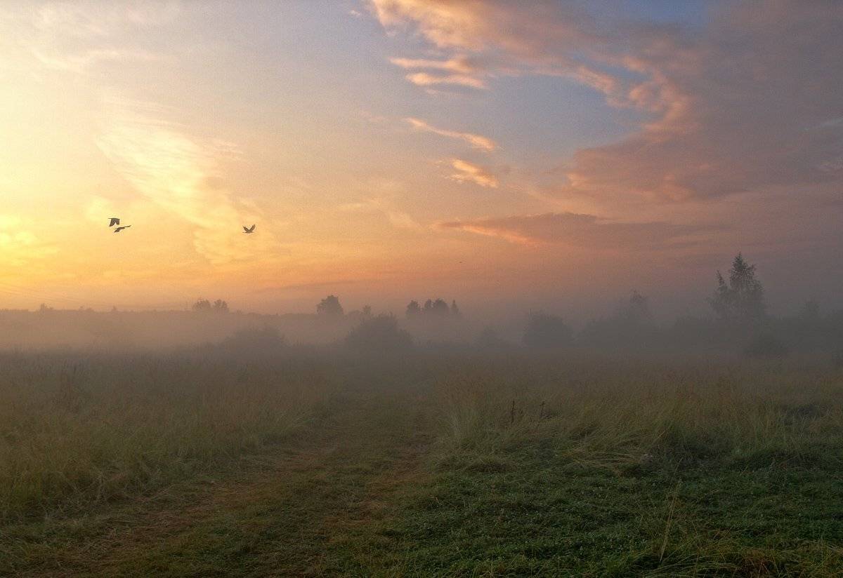 , Марина Брыдня