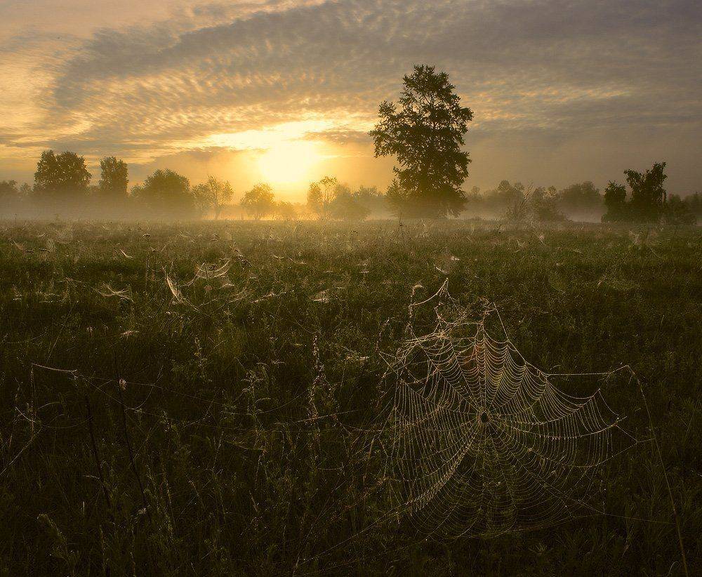 , Николай Морский