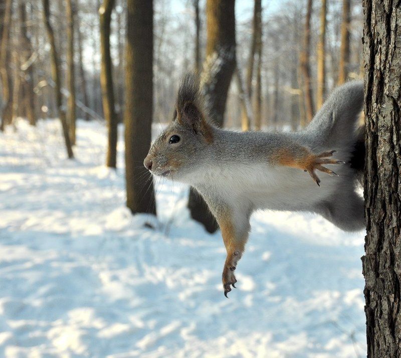 точка отрыва фото превью
