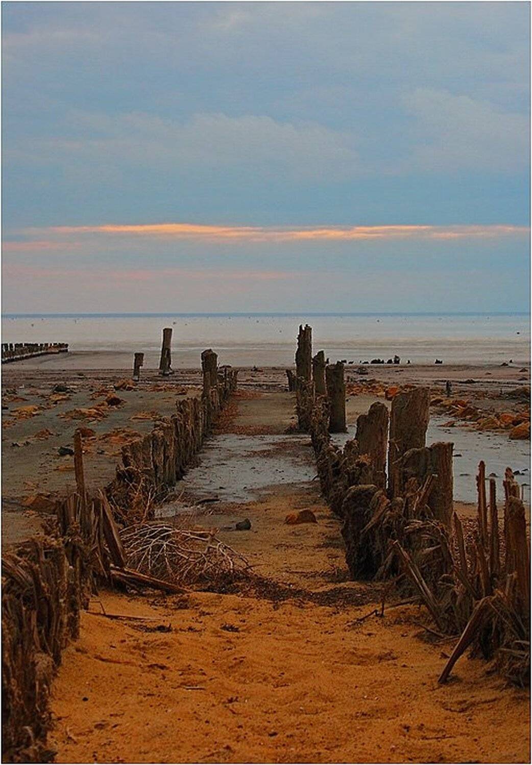 эльтон, Alexandr