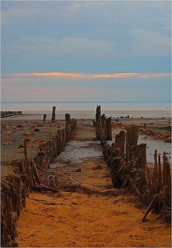 Дорога в Забытое