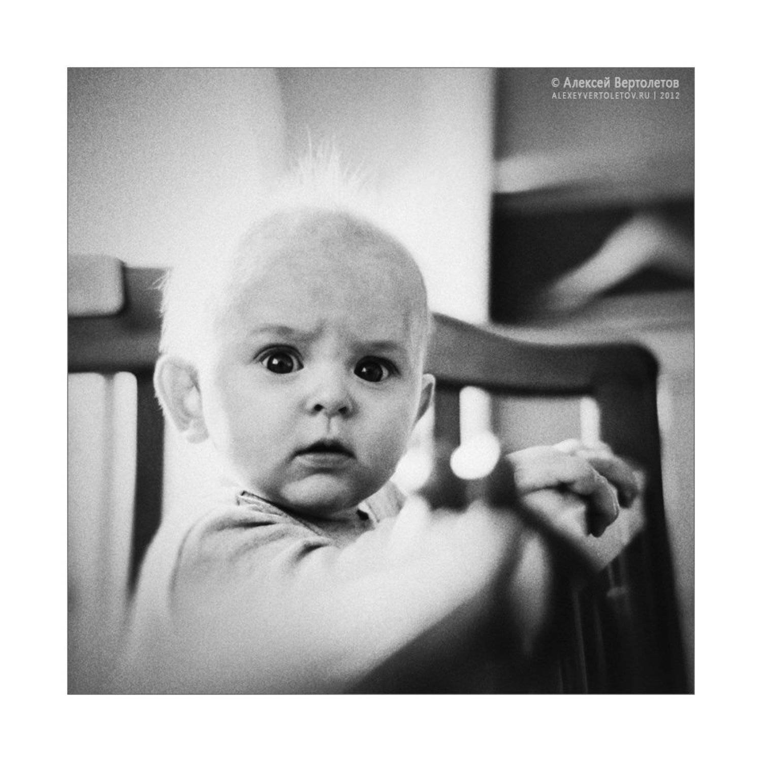 , Алексей Вертолетов