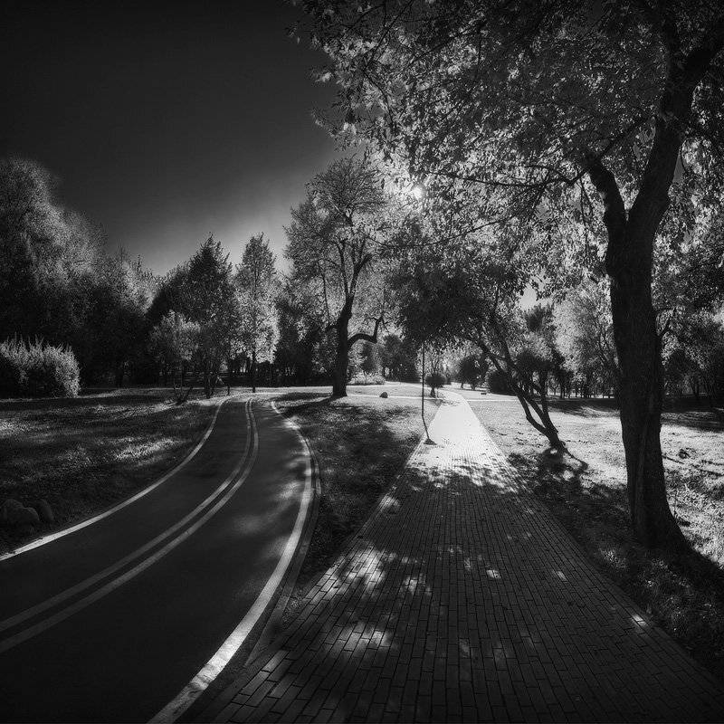велодорожка, парк, победы, пешеходная, свет, тень, Dmitry Apalikov