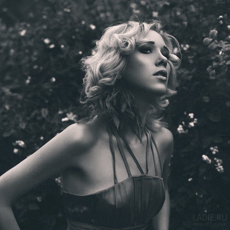 Di фото превью