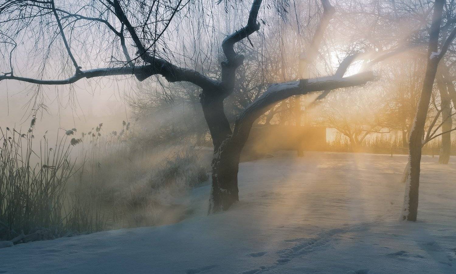 город, парк, зима, река, кубань, ФЁДОР