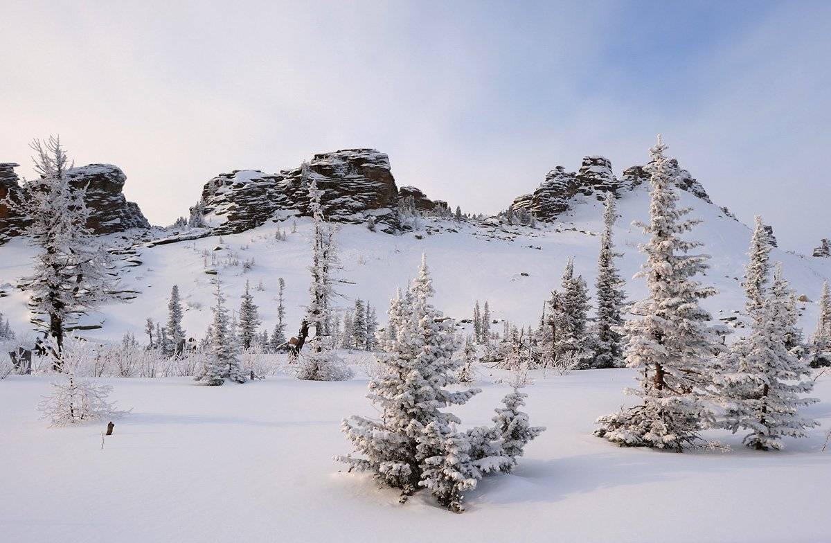 , Сергей Седов