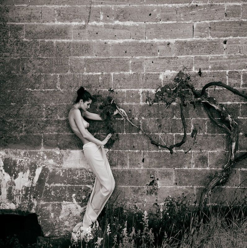 mecuro b cotto, mecurobcotto.com * фото превью