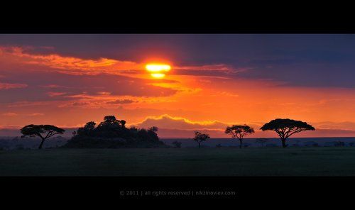 Рассвет в Серенгети
