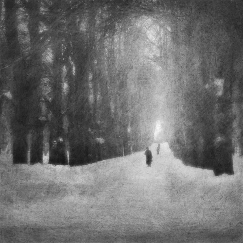 В аллеях Павловска фото превью