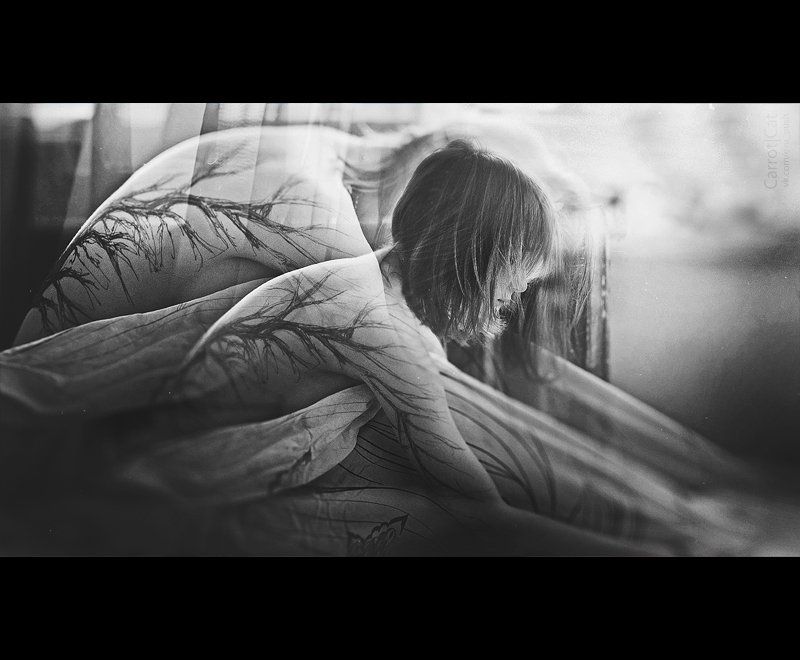 tree фото превью