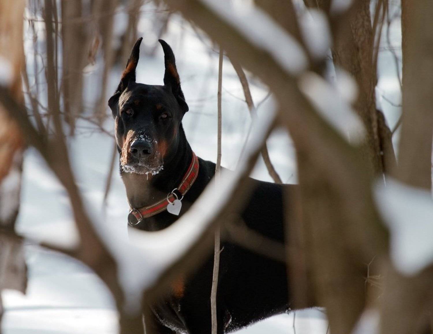 , Юлия Болдинова