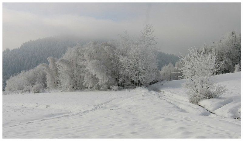 // фото превью